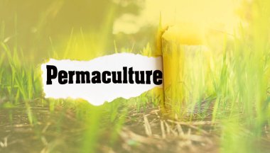 Permakültür sürdürülebilir yaşam biçimleri yaratıyor, rejeneratif tarım, rewilding ve toplum esnekliği..