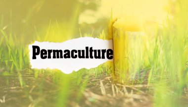 Permaculture is creating sustainable ways of living, regenerative agriculture, rewilding, and community resilience. clipart
