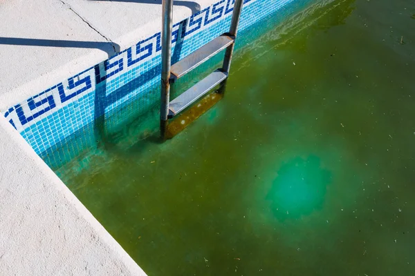 Заброшенный Бассейн Зеленой Гнилой Водой Открытом Воздухе — стоковое фото