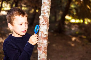 7 yaşındaki bir öğrenci büyüteçle ağaç kabuğunu inceliyor..