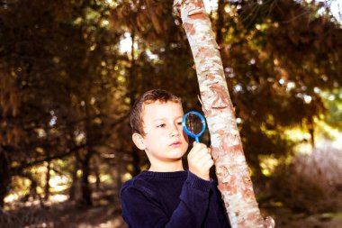 Çocuk, hasta bir ağacın gövdesini büyüteçle yakından izler..