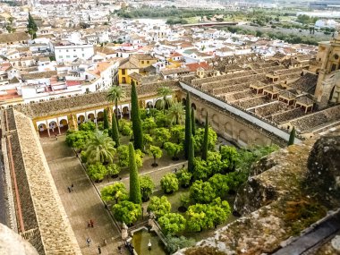 Cordoba, İspanya - 4 Mart 2021: Patio de los Naranjos, Cordoba Camii 'nin yanındaki bir iç bahçe.