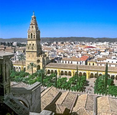 Cordoba, İspanya - 4 Mart 2021: Patio de los Naranjos, Cordoba Camii 'nin yanındaki bir iç bahçe.