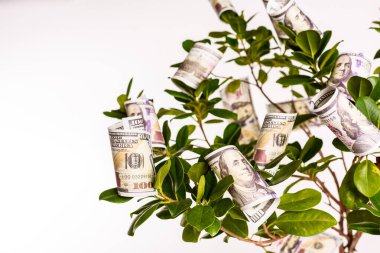 Yeşil anlaşma, gelir kaynağı ve sürdürülebilir ve ekolojik ekonomi ile ekonomik faydalar.