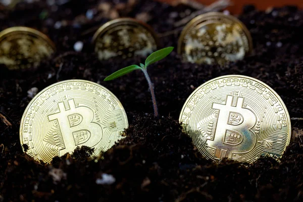 Górnictwo Kryptowaluta Bitcoin Sprawia Kopać Głębiej Ziemi — Zdjęcie stockowe