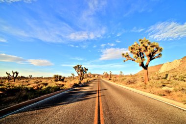 Joshua ağaçlar Joshua Tree National Park, ABD ile yol çöl