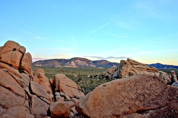 Überblick über den Joschua-Baum-Nationalpark bei Sonnenuntergang, USA — Stockfoto