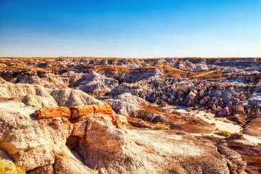 Petrified Forest Ulusal Parkı 'nın çorak topraklarında bitki fosilleri, Arizona, ABD