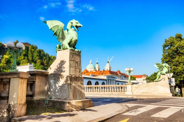 Most Smoka Słoneczny Dzień Lublanie Słowenia — Zdjęcie stockowe