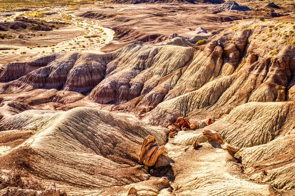 米国アリゾナ州ペトリファイドフォレスト国立公園のバッドランズにある植物化石 — ストック写真