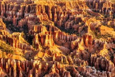 Bryce Canyon Ulusal Parkı Sunrise 'da, Bryce Point, Utah, ABD