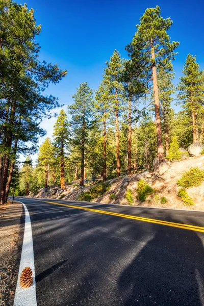 Estrada Parque Nacional Yosemite Durante Dia Ensolarado Califórnia Eua — Fotografia de Stock