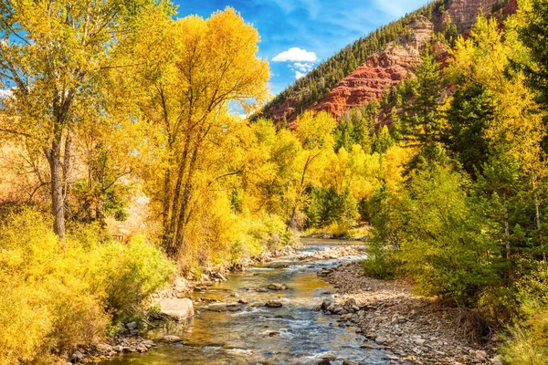 Řeka Obklopená Překrásnými Žlutými Asfaltovými Stromy Jasnou Modrou Oblohou Colorado — Stock fotografie