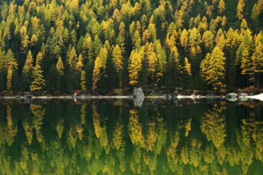 yansıma lago di braies, dolomites, İtalya