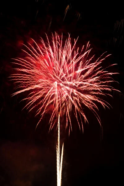 Fireworks — Stock Photo, Image