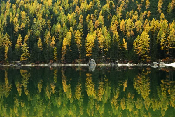 Reflexão sobre Lago di Braies, Dolomites, Itália — Fotografia de Stock