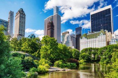Central Park 'tan New York City Skyline' a Sunny Day, New York, ABD