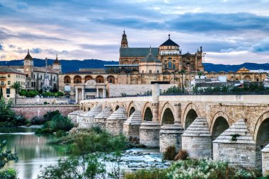 Gün boyunca Cordoba 'daki Mezquita Katedrali ve Roma Köprüsü, Endülüs, İspanya
