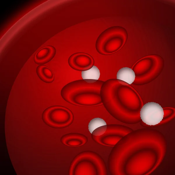 Blood cells — Stock Photo, Image