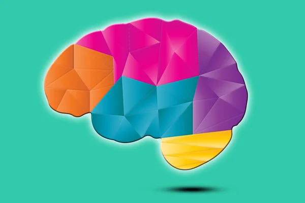 Polygon brain illustration — Stock Photo, Image