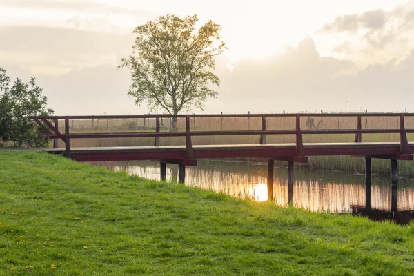Nehir üzerindeki tahta köprü.