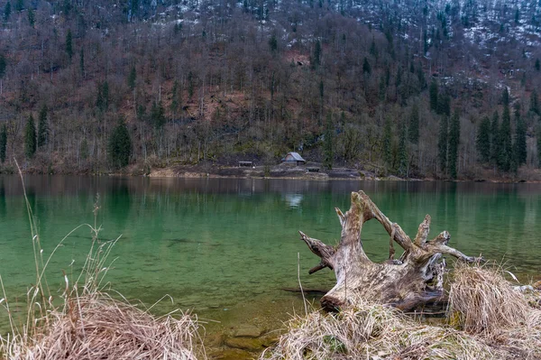 Konigsee 湖，贝德国 — 图库照片