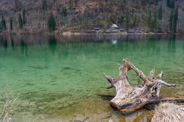 Konigsee lake, Berchtesgaden, Duitsland — Stockfoto