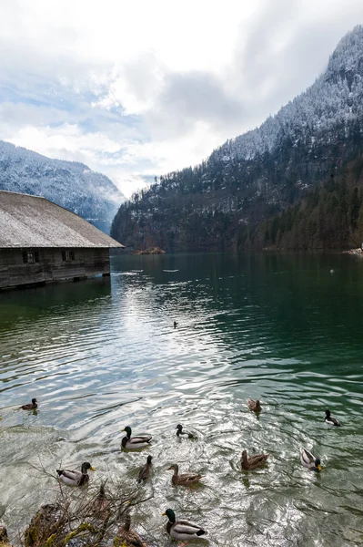 Konigsee 호수, Berchtesgaden, 독일 — 스톡 사진