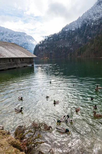 Königssee-tó, Berchtesgaden, Németország — Stock Fotó