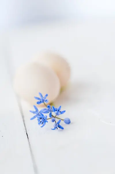 Egg and flower decoration — Stock Photo, Image