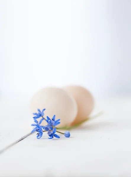 Decorazione di uova e fiori — Foto Stock