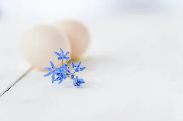 Egg and flower decoration — Stock Photo, Image