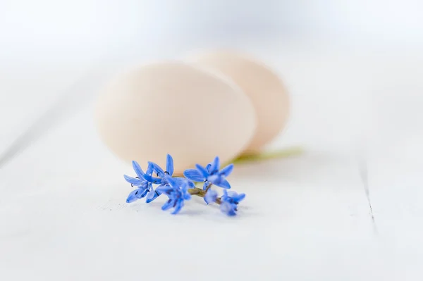 Decorazione di uova e fiori — Foto Stock