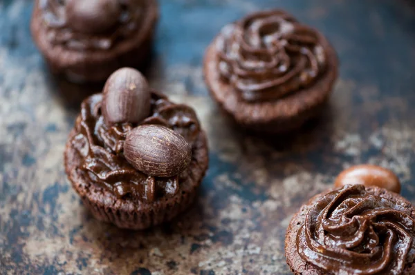 Homemade chocolate cupcake — Stock Photo, Image