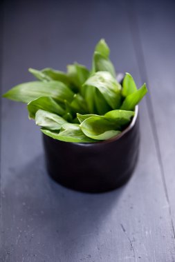 vahşi yeşil sarımsak