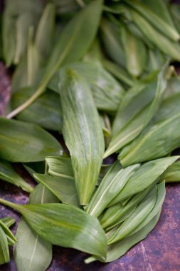 vahşi yeşil sarımsak