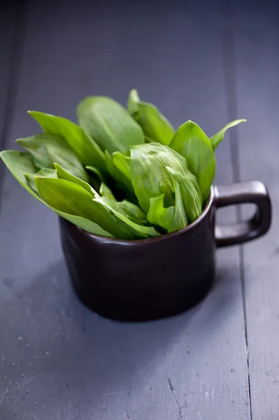 Wild green garlic — Stock Photo, Image