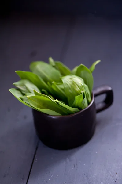 Wild green garlic — Stock Photo, Image