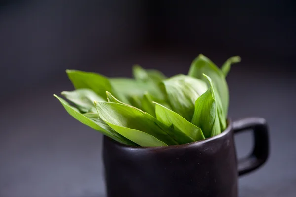 Divoký česnek zelený — Stock fotografie