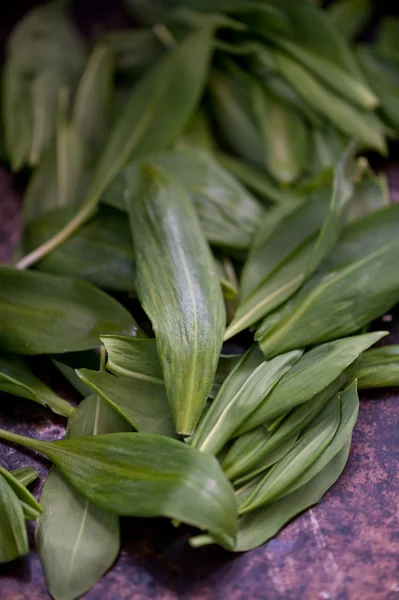 vahşi yeşil sarımsak