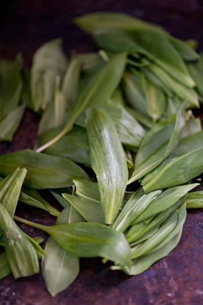 Ajo verde salvaje — Foto de Stock