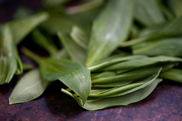 Wild green garlic — Stock Photo, Image