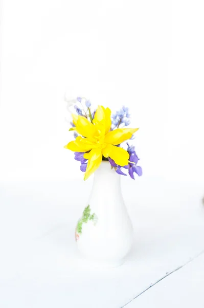 Piccoli fiori in un vaso — Foto Stock