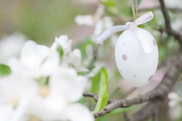 Painted Easter eggs — Stock Photo, Image