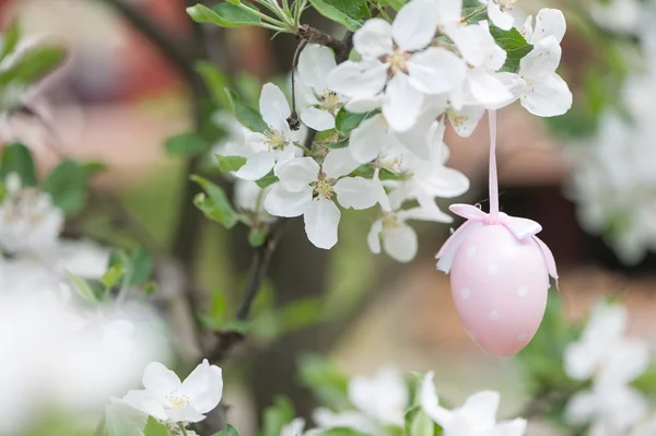 Painted Easter eggs — Stock Photo, Image