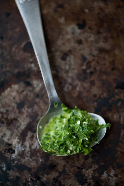 Domácí pesto — Stock fotografie