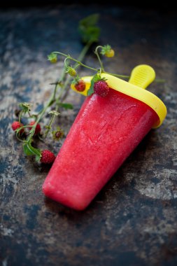 ev yapımı dondurma