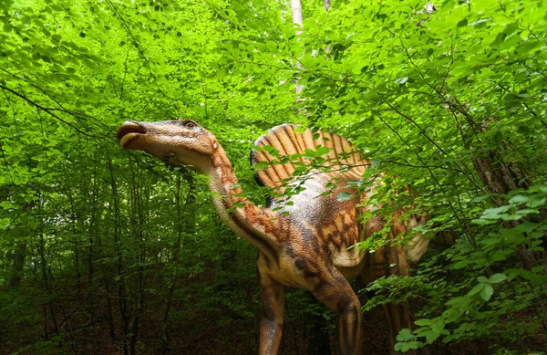 Rasnov Roemenië Juli 2021 Rasnov Dino Parc — Stockfoto