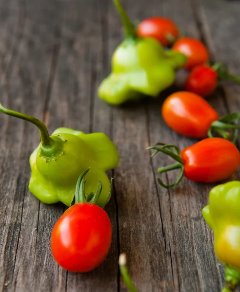 Pomodori e peperoni — Foto Stock