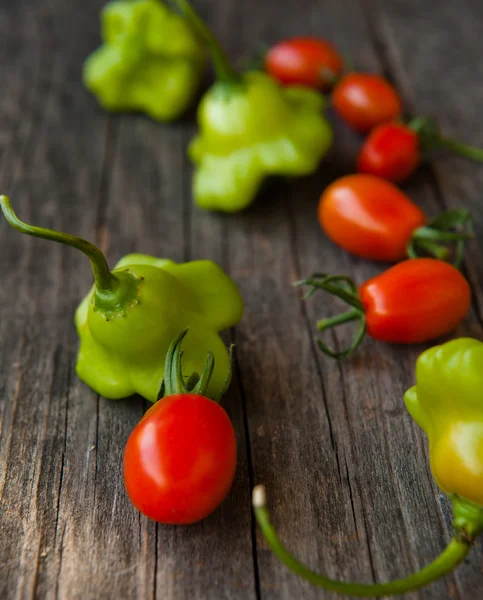 Pomodori e peperoni — Foto Stock